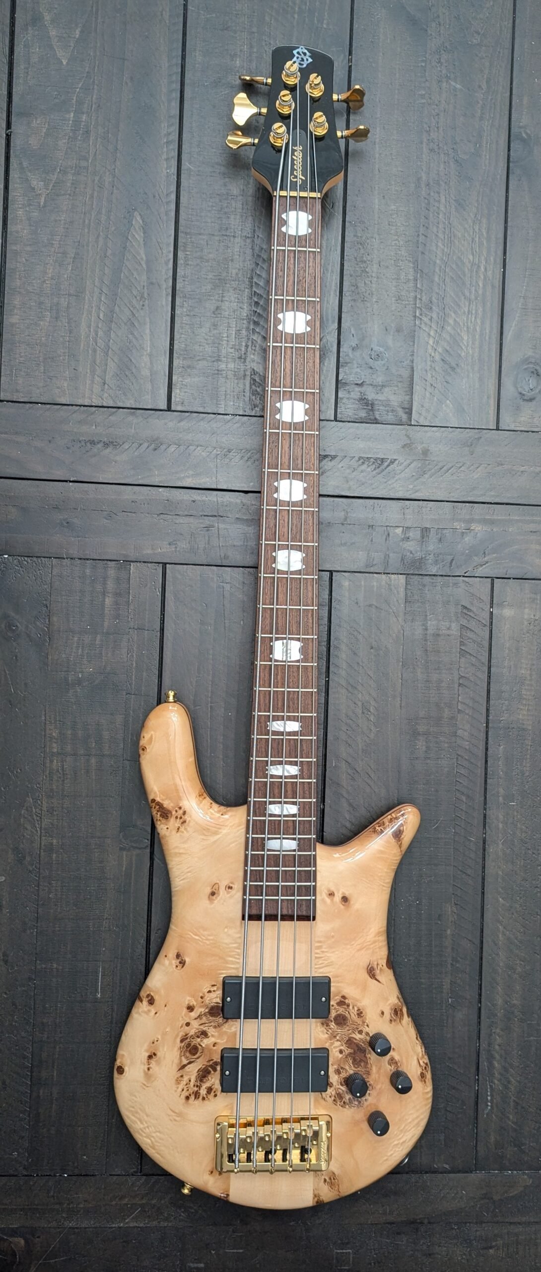 Spector Euro 5 XL