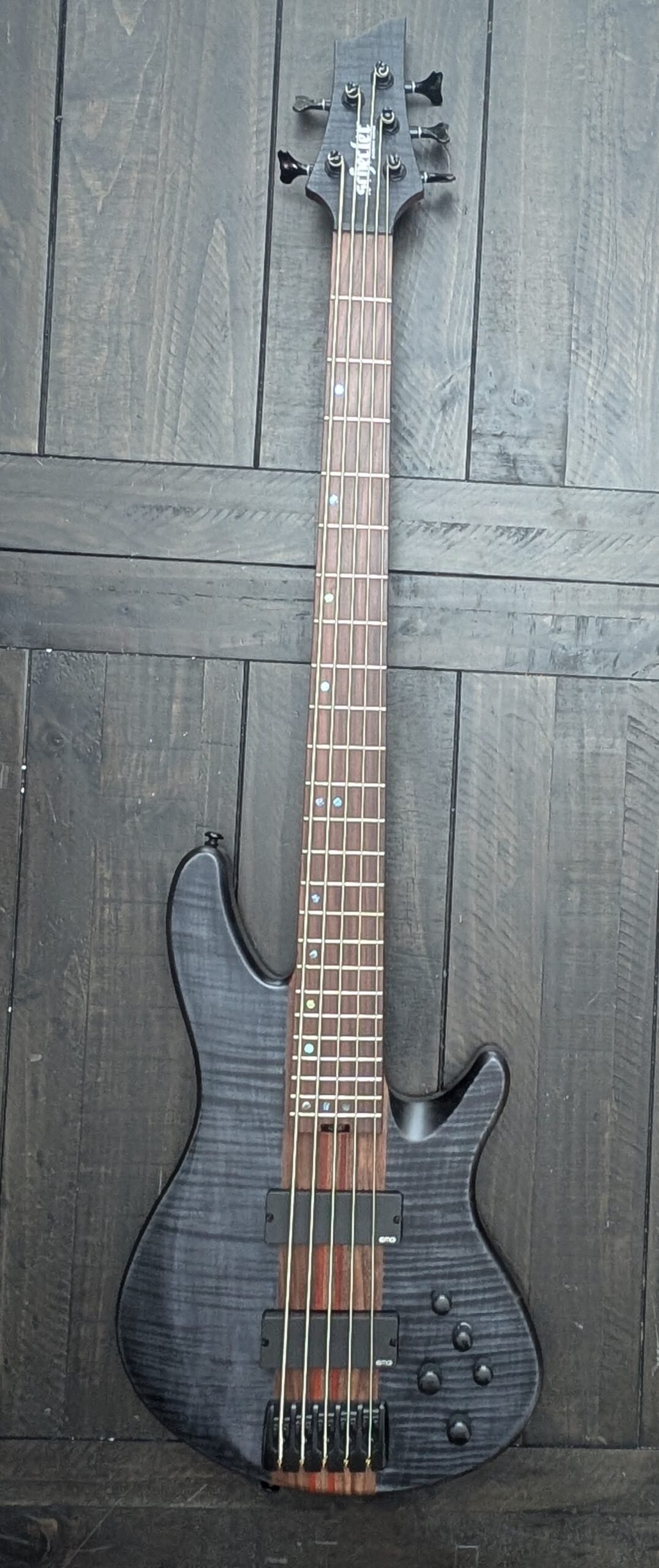 Schecter Charles Berthoud CB-5