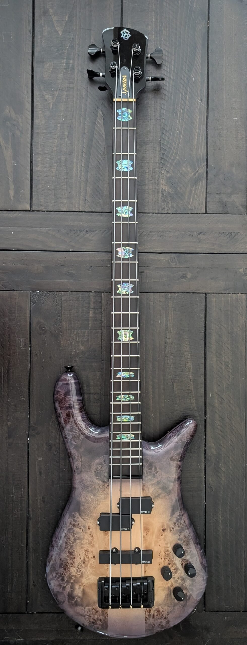 Spector Euro 4 CST